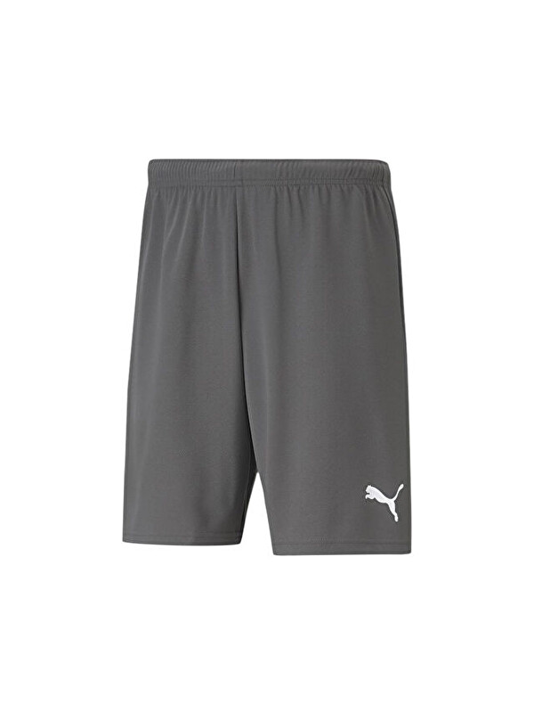 Puma Teamrise Short Erkek Şortu 70494213 Gri