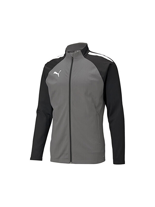 Puma Teamliga Training Jacket Erkek Futbol Antrenman Ceketi 65723413 Gri