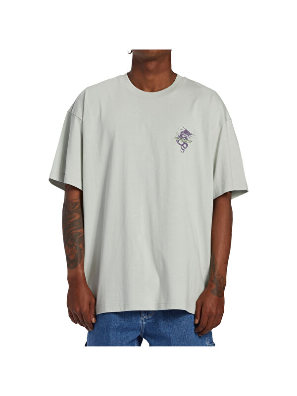 Billabong Enter The Drago Tees Erkek Gri Tişört