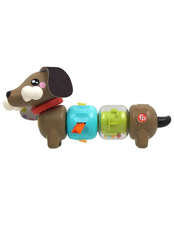 FISHER PRICE Köpekçikle Eğlenceli Aktiviteler - Standart