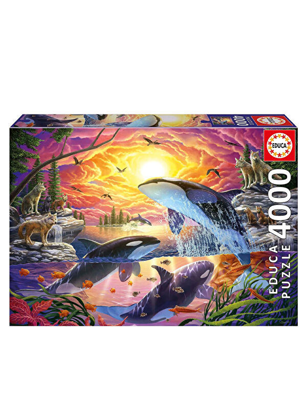 Educa Puzzle 4000 Parça Katil Balina ve 20259