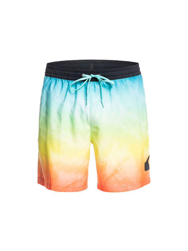 Quiksilver Erkek Volley Short Everyday Faded Logo Volley 17 Siyah