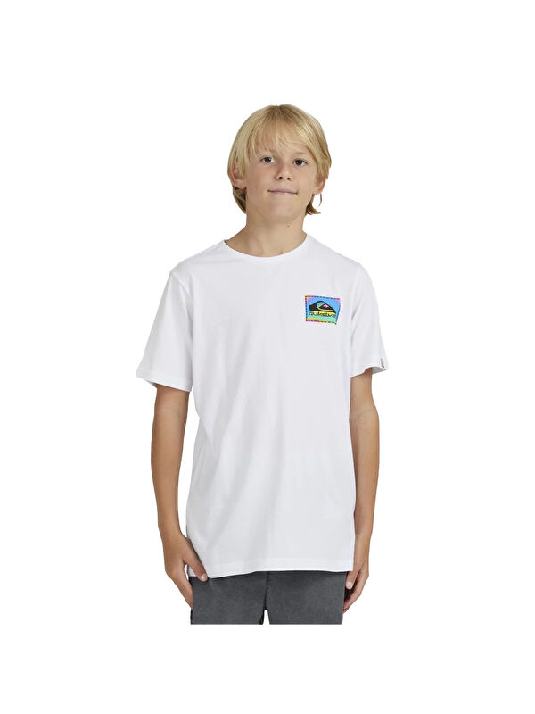 Quiksilver Colour Flow Yth Erkek Çocuk Renkli Tişört