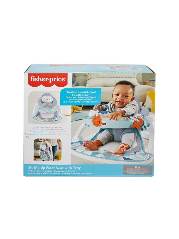 FISHER PRICE Tepsili Ana Kucağı