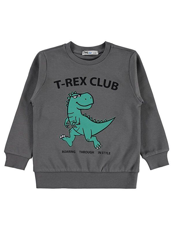 Civil Boys Trex Club Baskılı 2-5 Yaş Sweatshirt Km - Gri 3-4 Yaş