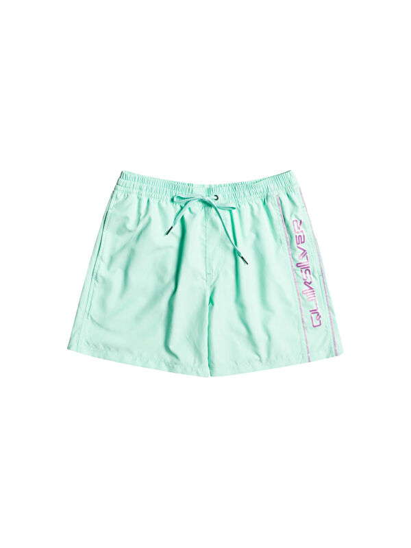 Quiksilver Erkek Volley Short Vert 16 M Jamv Beach Glass Günlük Giyim