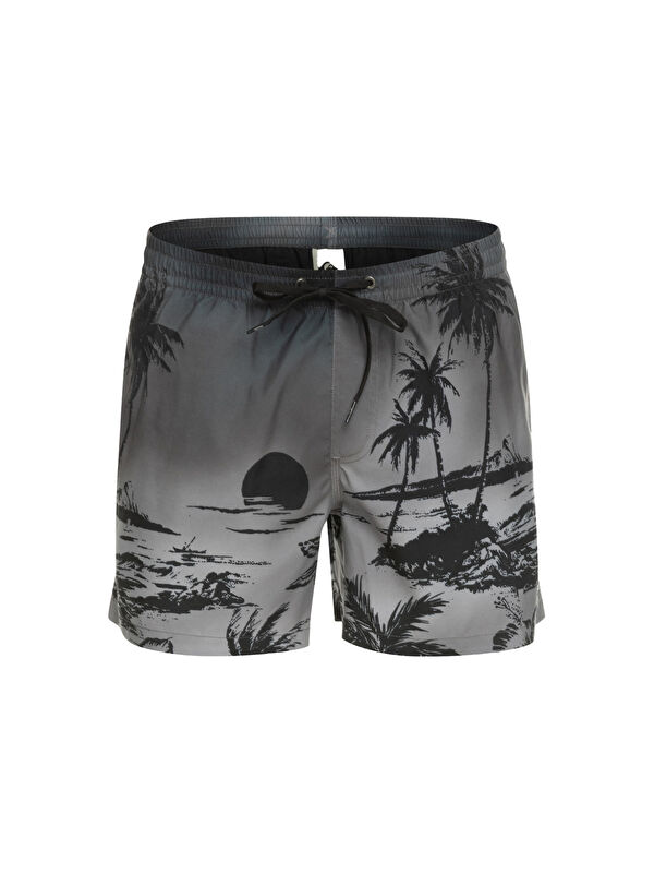 Quiksilver Erkek Volley Short Paradise 15 M Jamv Siyah
