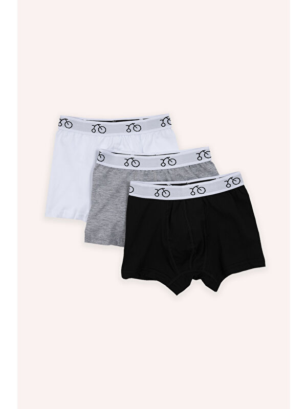 Panço Erkek Çocuk 3'lü Boxer