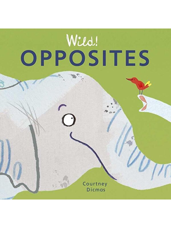 Child's Play Wild!: Opposites