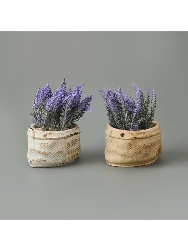 Objevi Çuval Saksıda Kır Lavantası - Asorti - 13x9x9 cm