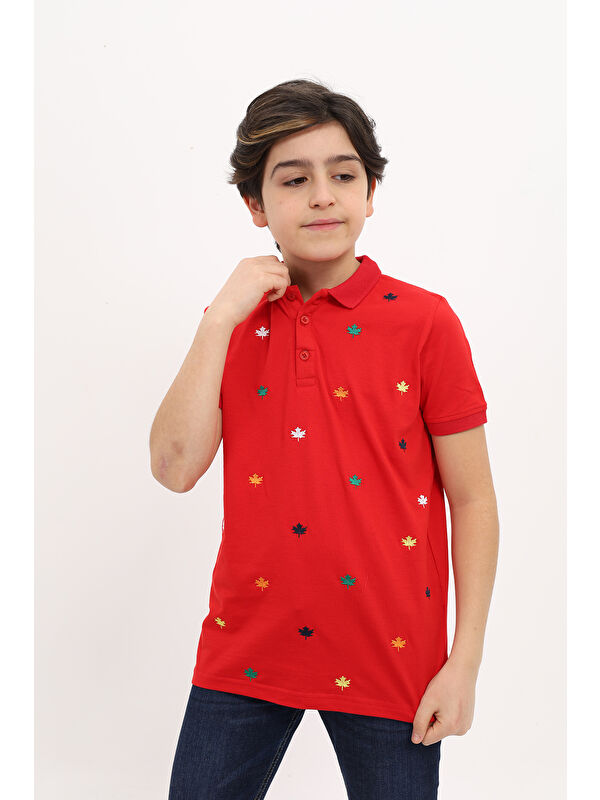Toontoykids Erkek Çocuk Nakışlı Tişört