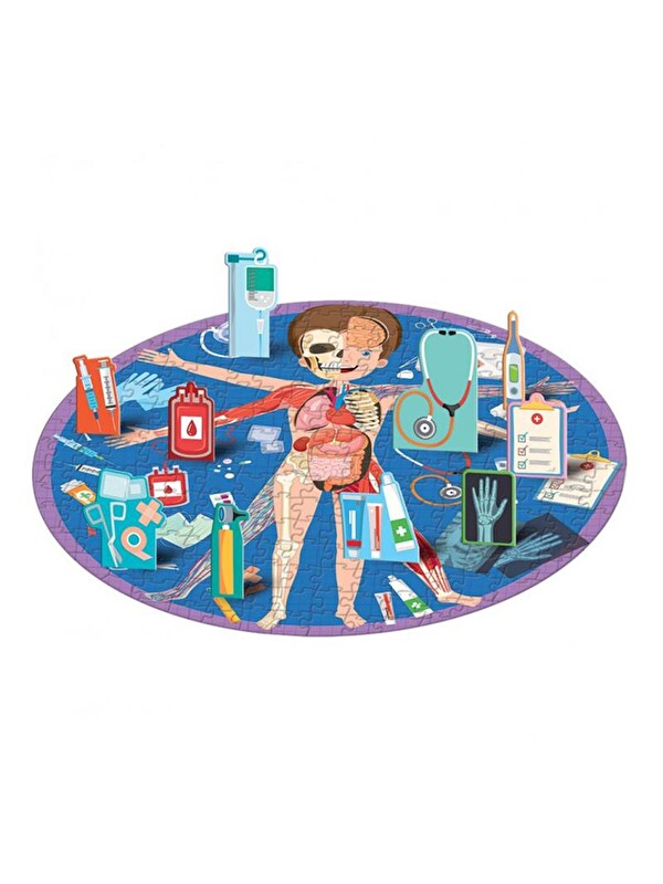 Sassi Travel - Learn and Explore - The Human Body