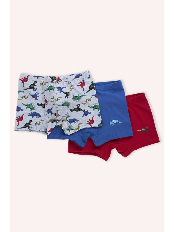 Panço Erkek Çocuk Dinozor Desenli 3'lü Boxer