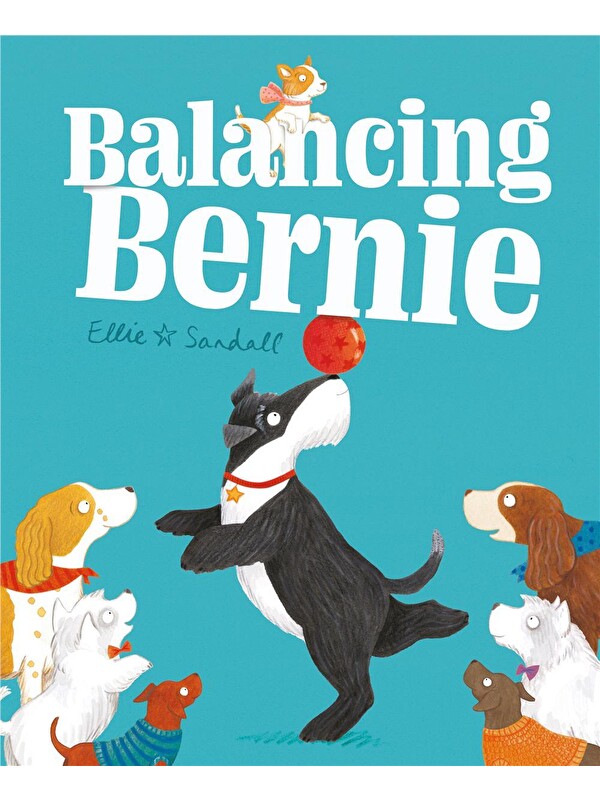 Hodder Children's Books Balancing Bernie