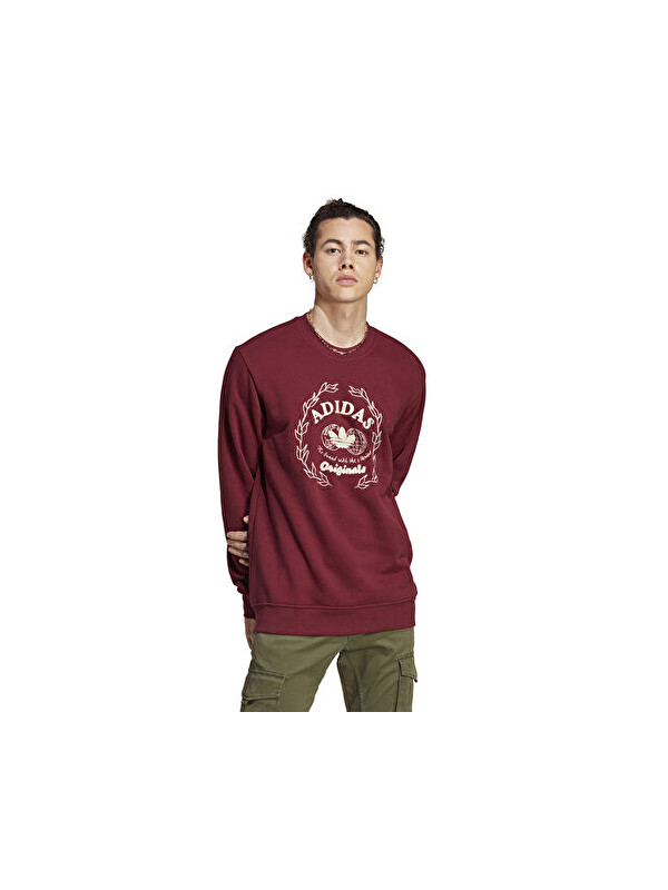Adidas Hta Crew Erkek Günlük Sweatshirts IC5770 Kırmızı