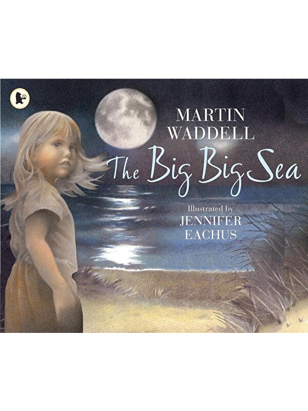 Walker Books The Big Big Sea