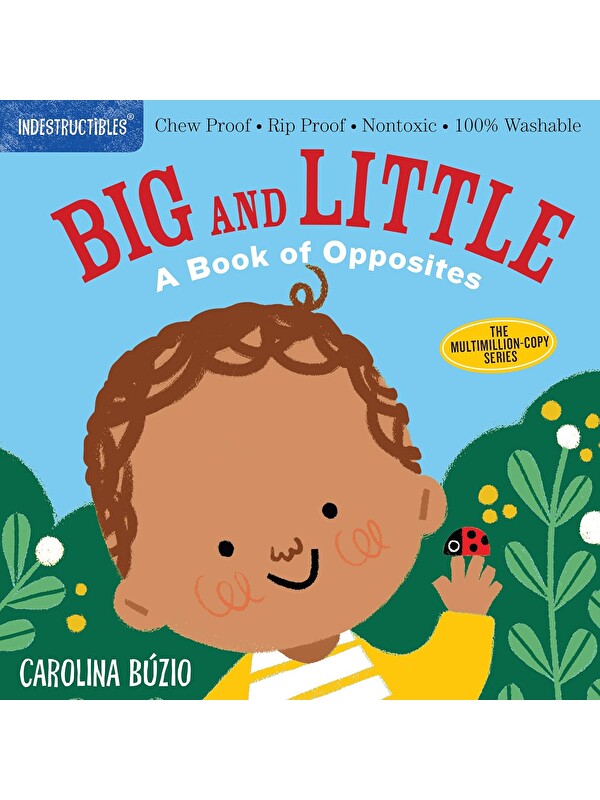 Workman Publishing Indestructibles: Big and Little