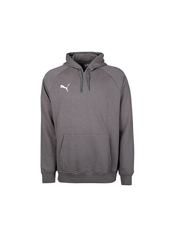 Puma Turkey Hoodie Türkiye Futbol Antrenman Sweatshirt 60546903 Gri