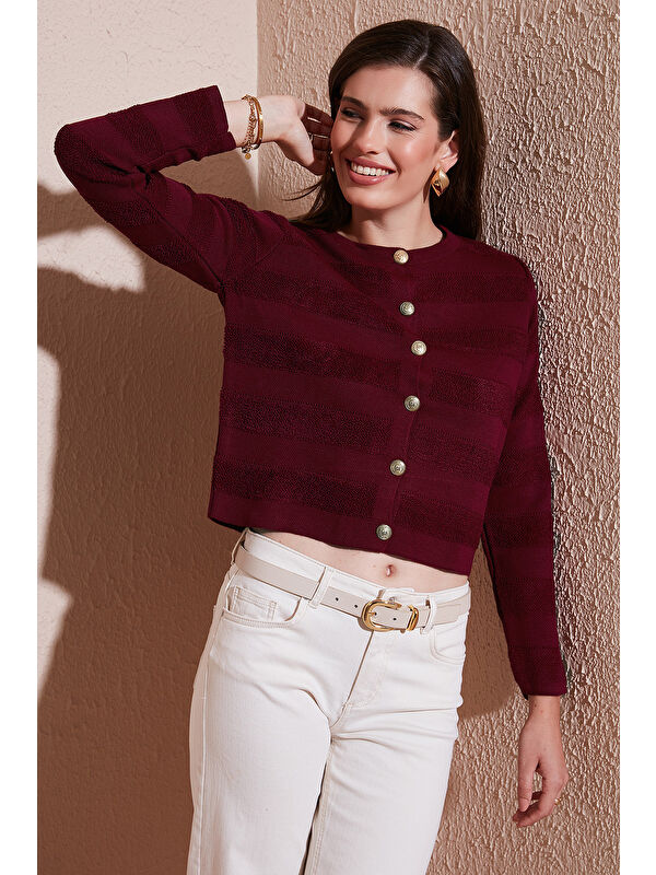 Lela Premium Regular Fit Bisiklet Yaka Düğmeli Dokulu Triko Hırka 680HI00337