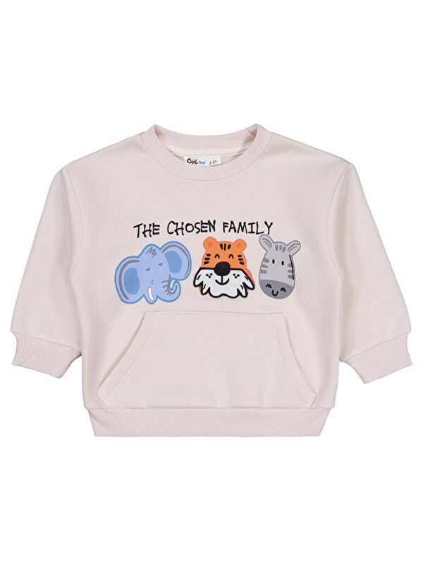 Civil Boys Üç Kafadar Baskılı-Nakışlı 2-5 Yaş Sweatshirt - Bej 2-3 Yaş