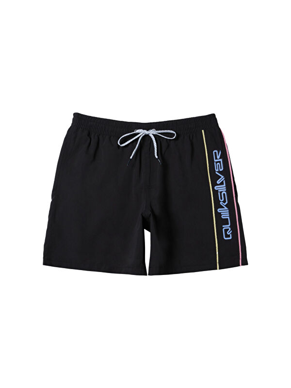 Quiksilver Everyday Vert 16 Erkek Siyah Volley Short