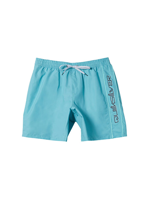 Quiksilver Everyday Vert 16 Erkek Mavi Volley Short