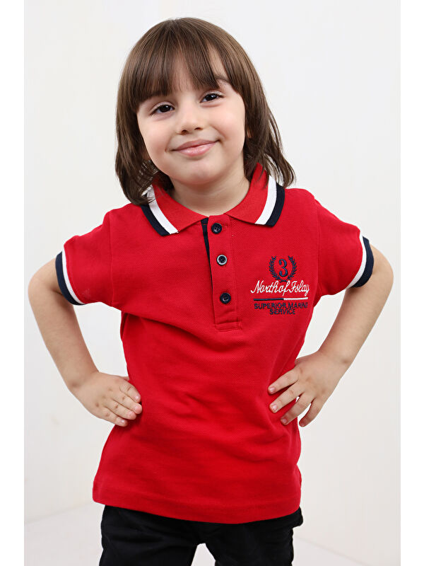 Toontoykids Erkek Çocuk Nakışlı Tişört