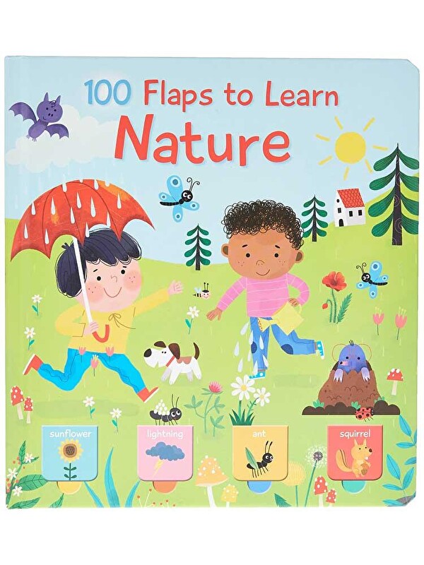Yoyo Books 100 Flaps To Learn: Nature