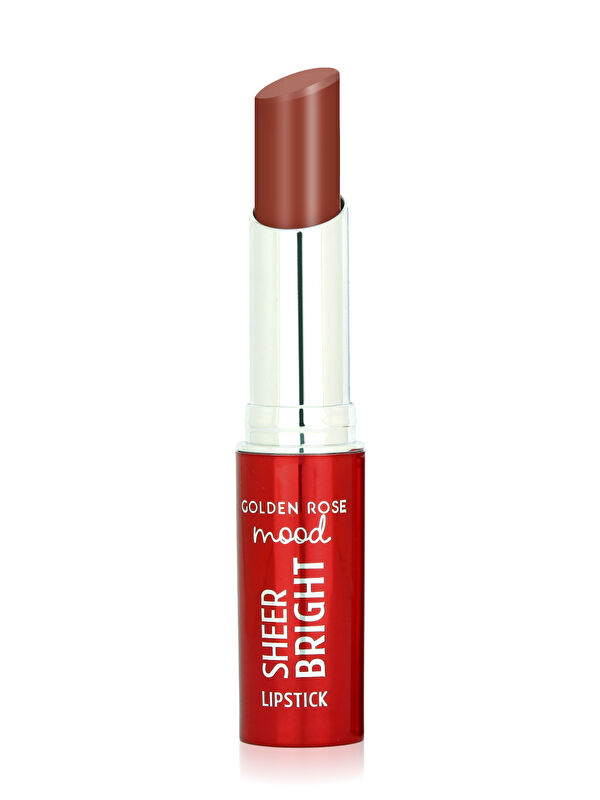 GOLDEN ROSE Mood Sheer Parlak Ruj No:105 Hazelnut