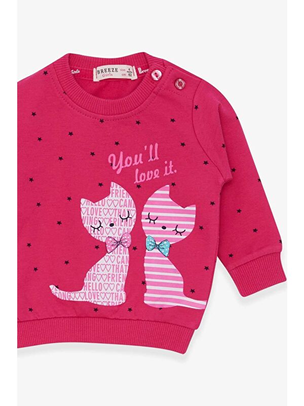 Breeze Kız Bebek Sweatshirt Mutlu Kedicikler Fuşya (4-9 Ay)