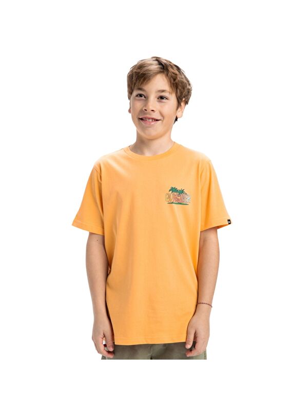 Quiksilver Ev Sunny Palms Yth Erkek Çocuk Sarı Tişört
