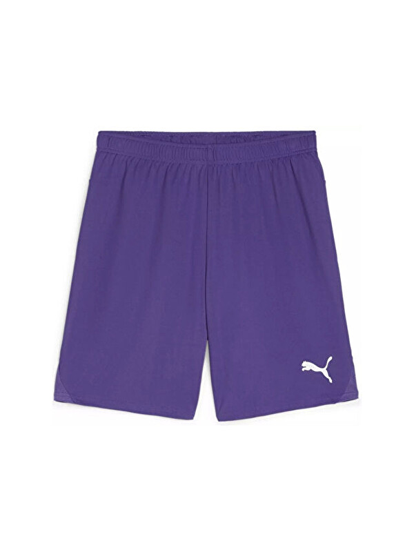 Puma Teamgoal Shorts Erkek Futbol Antrenman Şortu 70575210 Mor