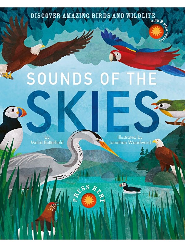 Little Tiger Press Sounds of the Skies