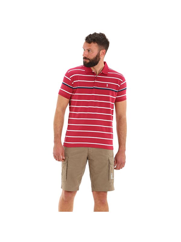 Slam Polo E78 Erkek Renkli Polo Tişört