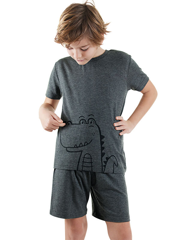 Denokids Dinozor Erkek Çocuk Gri Alt Üst Pijama Takım