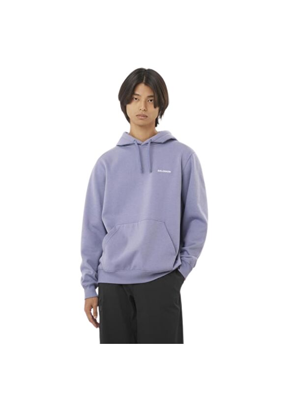 Salomon Logo Hoodie Erkek Sweatshirt