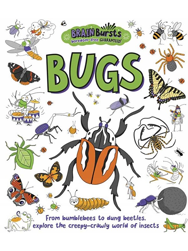 Little Tiger Press Brain Bursts: Bugs