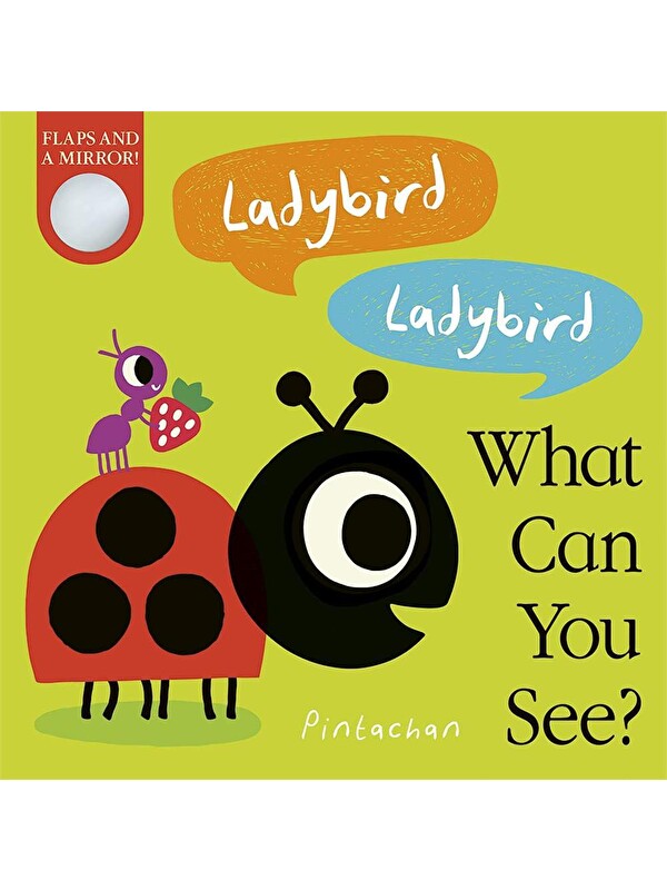 Little Tiger Press What Can You See?: Ladybird! Ladybird!