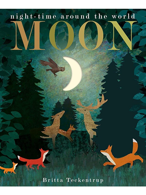 Little Tiger Press Moon