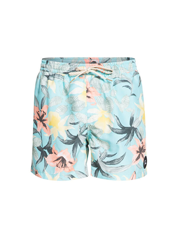 Quiksilver Erkek Volley Short Everyday Garden Path Volley 15 Mavi