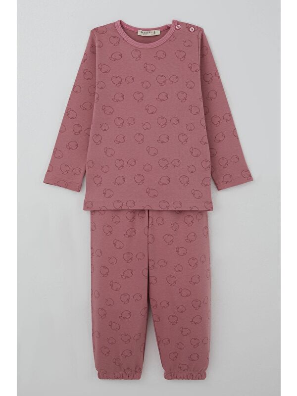 Breeze Kız Bebek Pijama Takımı Tatlı Elmacık Rüyası Gülkurusu (9 Ay-3 Yaş)