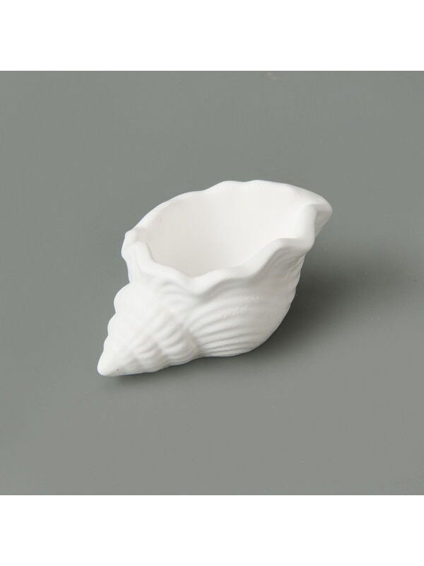 Evidea Deco Nautilius Dekor - Beyaz - 10 cm