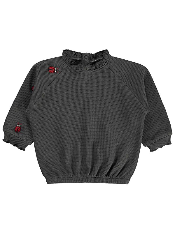 Civil Baby Uğur Böceği Nakışlı 6-18 Ay Sweatshirt - Gri 6-9 Ay