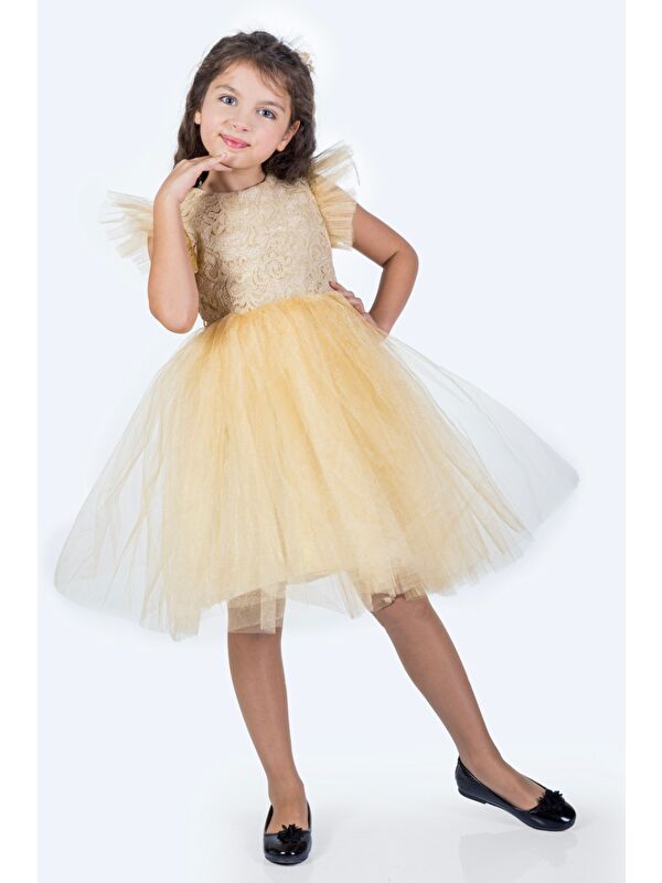 Mnk Baby & Kids Roza Dantel Tütü Kız Çocuk Abiye Elbise MNK0546