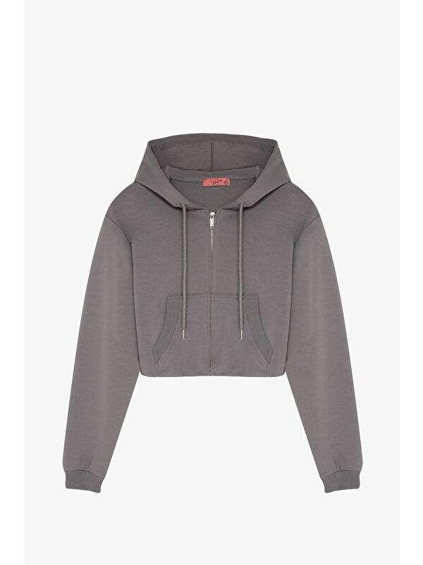 QUZU Kapüşonlu Fermuarlı Basic Sweatshirt Gri