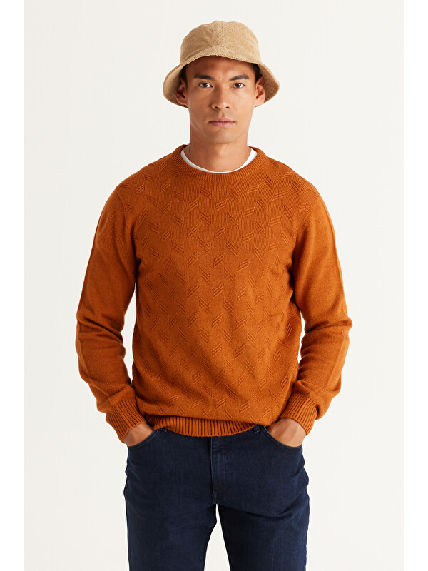 AC&Co / Altınyıldız Classics Erkek Kiremit Standart Fit Normal Kesim Bisiklet Yaka Jakarlı Triko