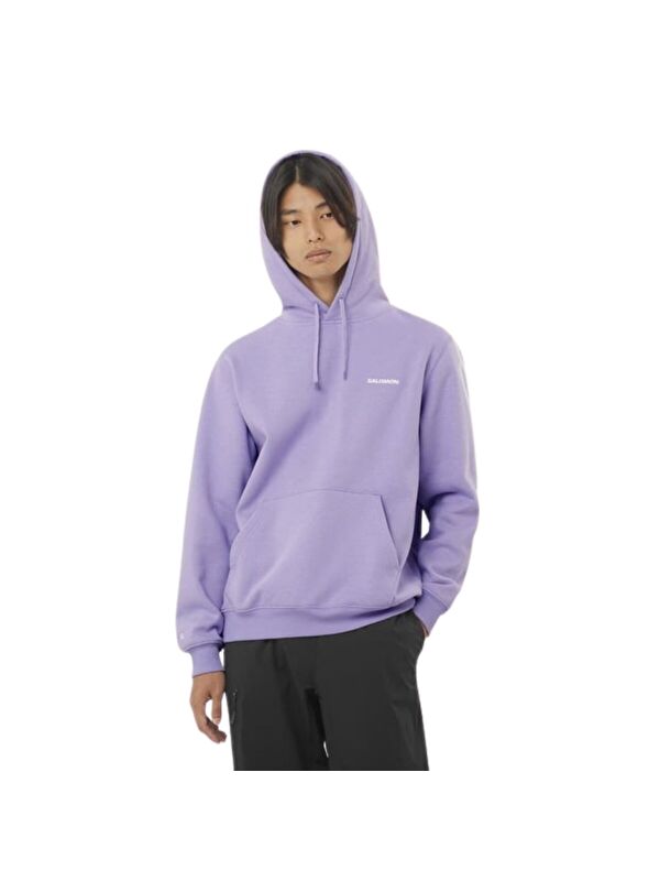 Salomon Logo Hoodie Erkek Sweatshirt