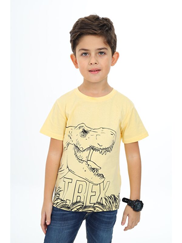 Toontoykids Erkek Çocuk Baskılı Tişört