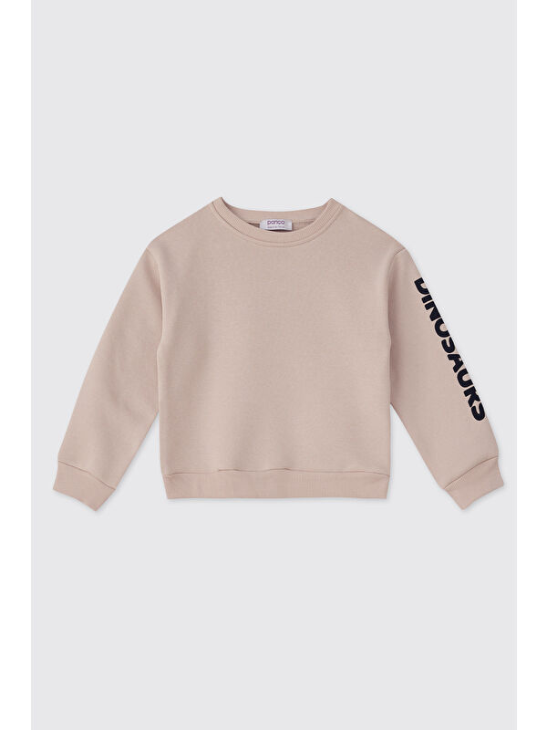 Panço Erkek Bebek Taş Sweatshirt