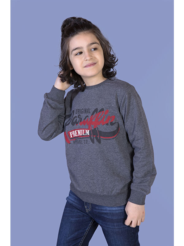 Toontoykids Erkek Çocuk Premium Baskılı Sweatshirt
